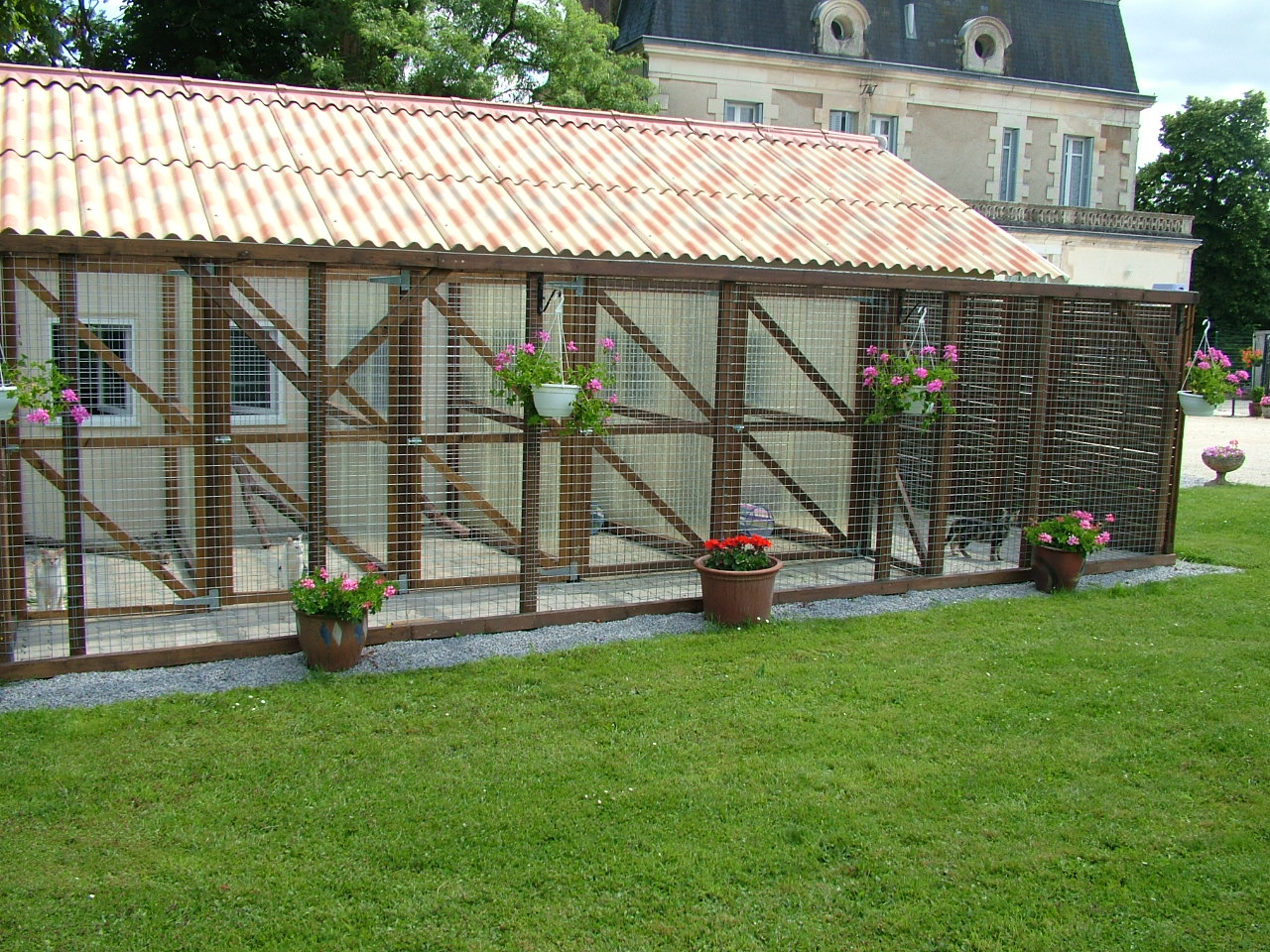 Chateau du Chat cattery and Kennels Deux Sevres