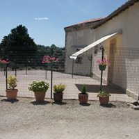 kennels 2
