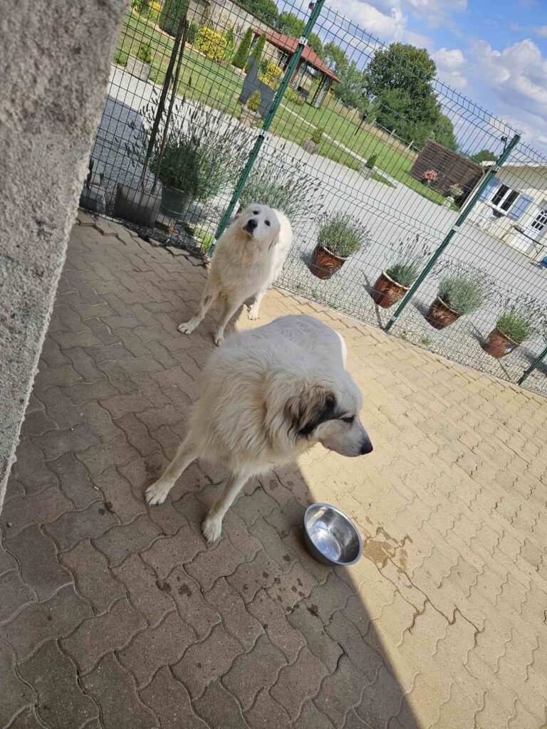 20230817 152513